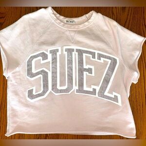 ACNE Suez Light Grey/Pink Crewneck Cutoff Short Sleeve Sweatshirt Size Small